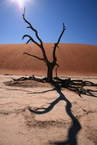 Dead Vlei, Namibia